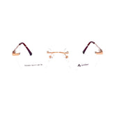 Armação de Óculos de Grau - Amber - CG-6007