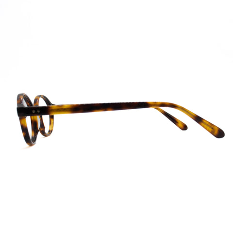 Armação de Óculos de Grau - Amber - TT8005